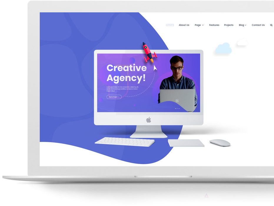 Web Design & Development